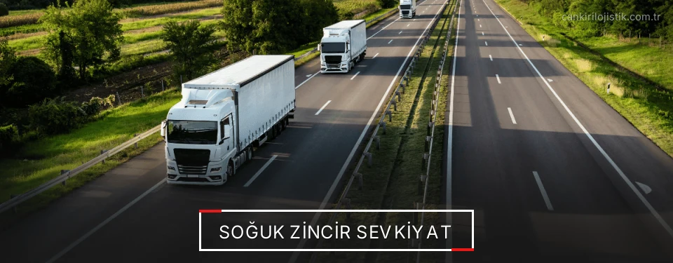 Çankırı Frigo Taşımacılık Firmaları