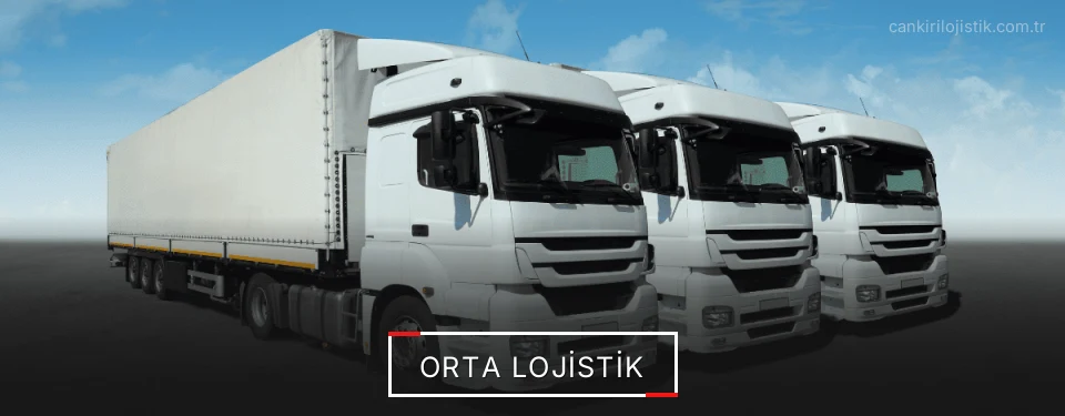 Orta Lojistik Kargo